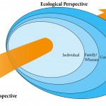 Multiple Perspectives Diagram